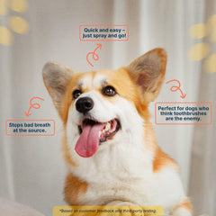 Premium Pet Dental Spray