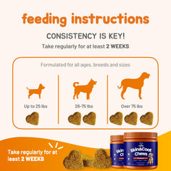 PupMist™ Omega-3 + Probiotic Complex: The Ultimate Dog Allergy & Immune Support