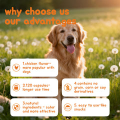 PupMist™ Omega-3 + Probiotic Complex: The Ultimate Dog Allergy & Immune Support
