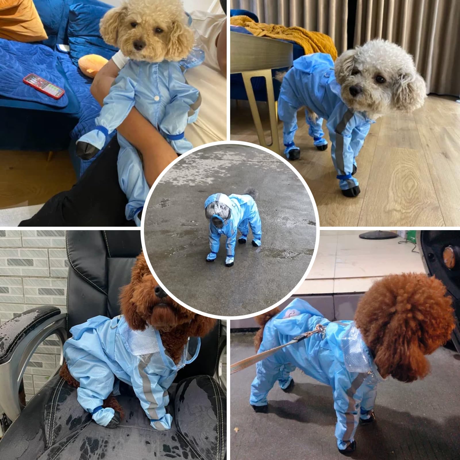 Full Coverage Small Dog Raincoat | Waterproof Four-Leg Protection with Mini Backpack