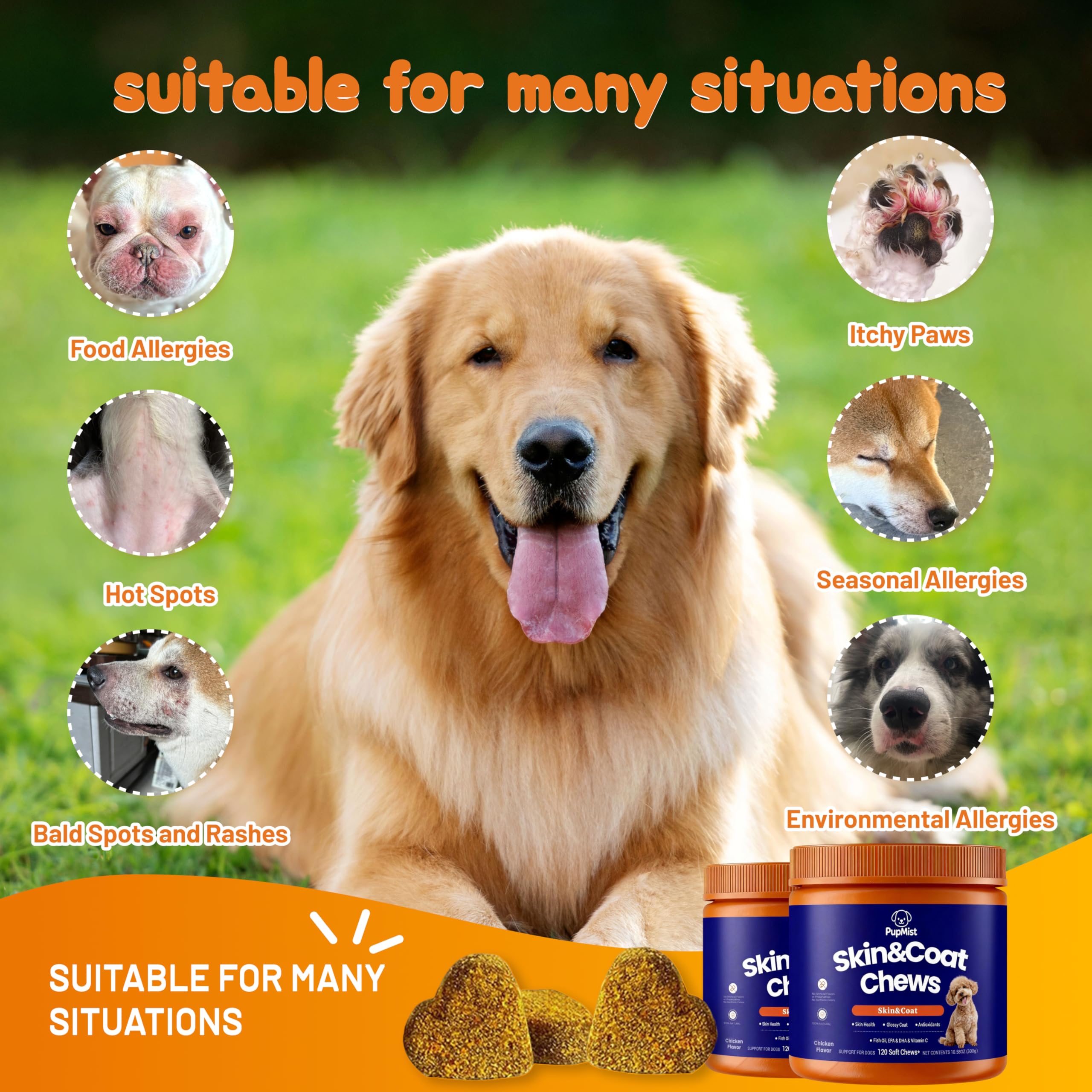 PupMist™ Omega-3 + Probiotic Complex: The Ultimate Dog Allergy & Immune Support