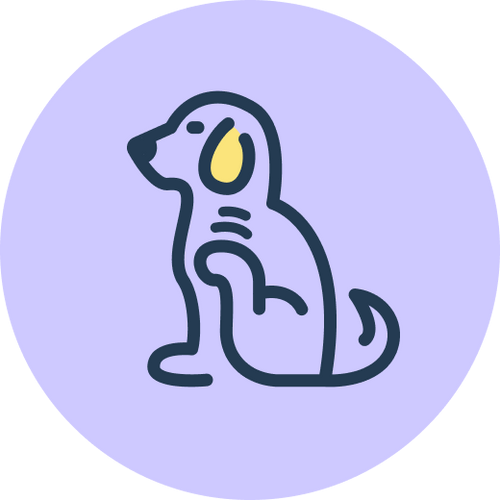 Allergy Support