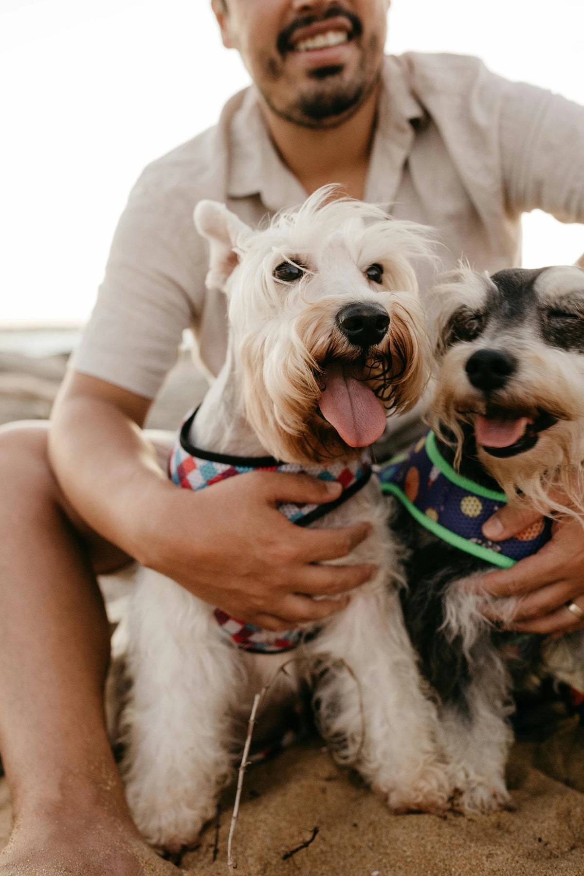 PupMist pet wellness lifestyle