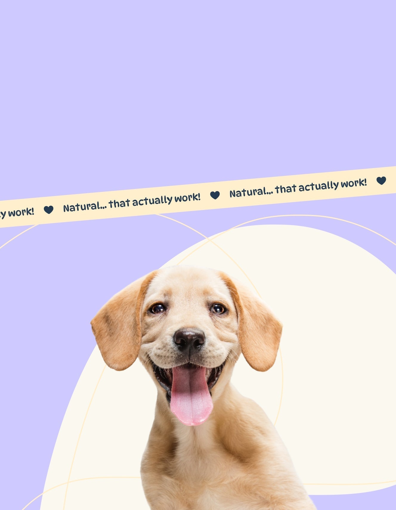 Gentle wellness for modern pets