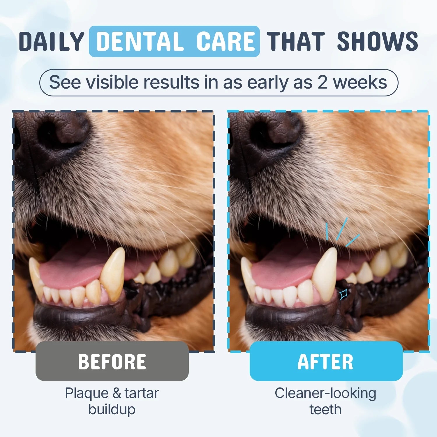 Premium Pet Dental Powder