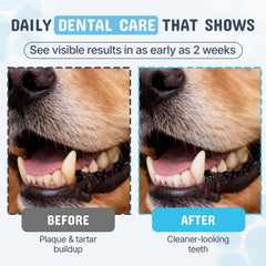 The Clean Teefs Bundle