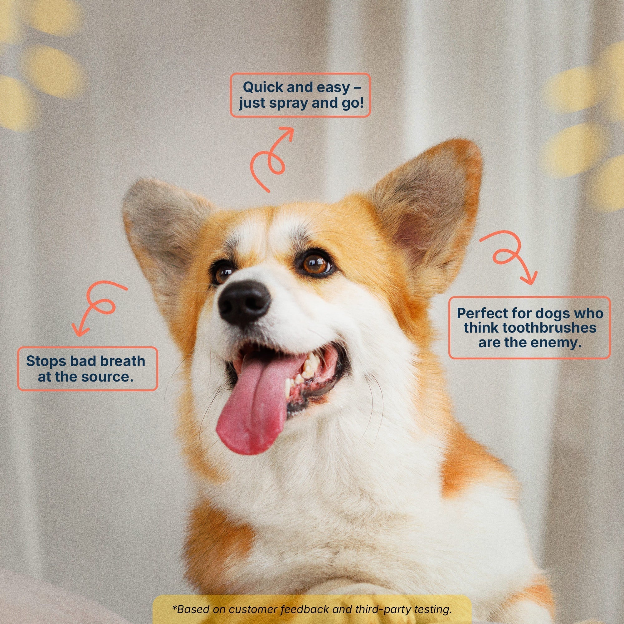 Premium Pet Dental Spray