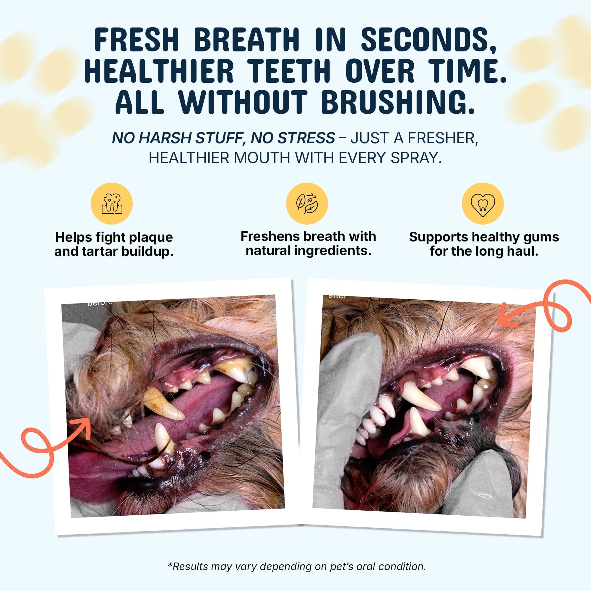 Premium Pet Dental Spray