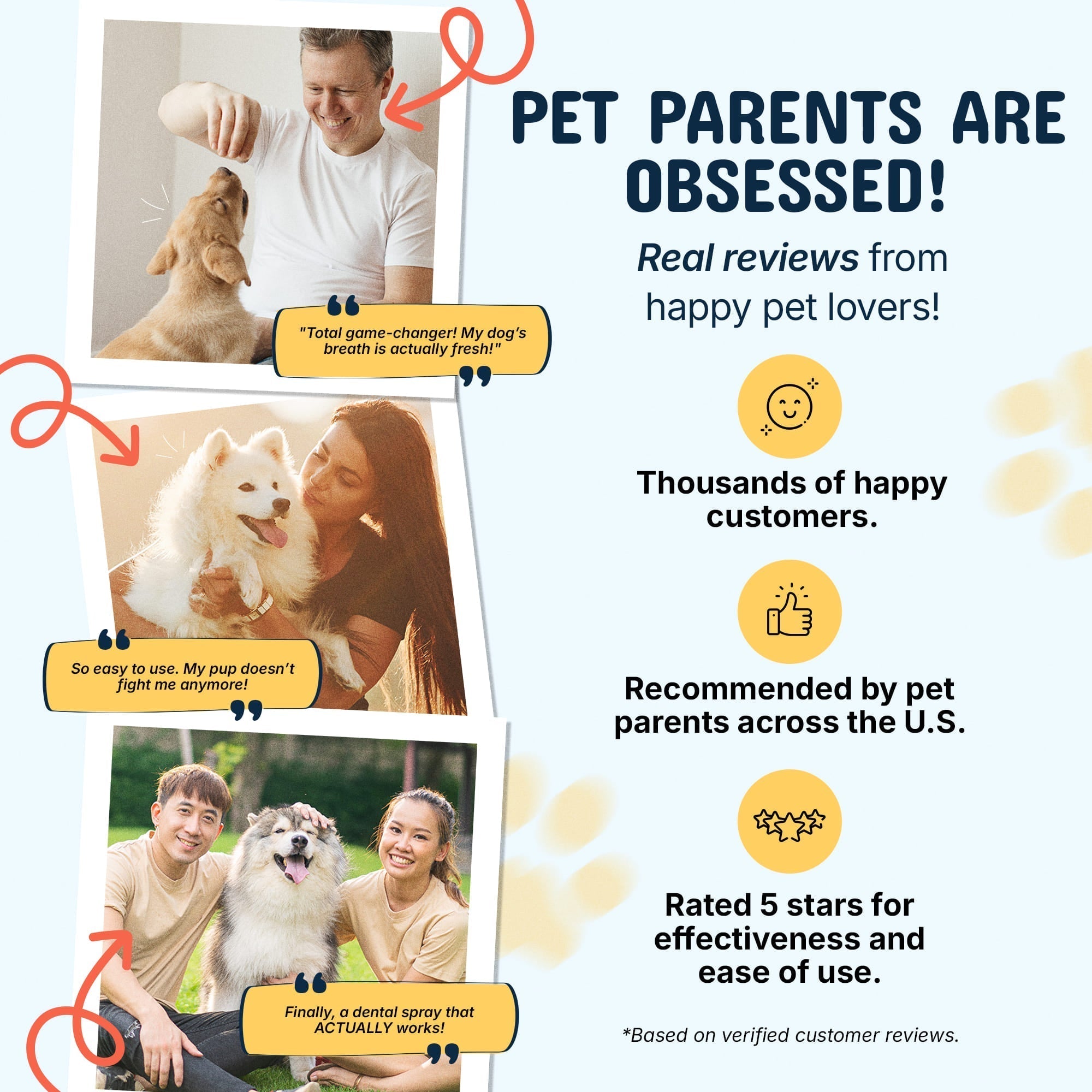 The Pawfect Grooming Kit