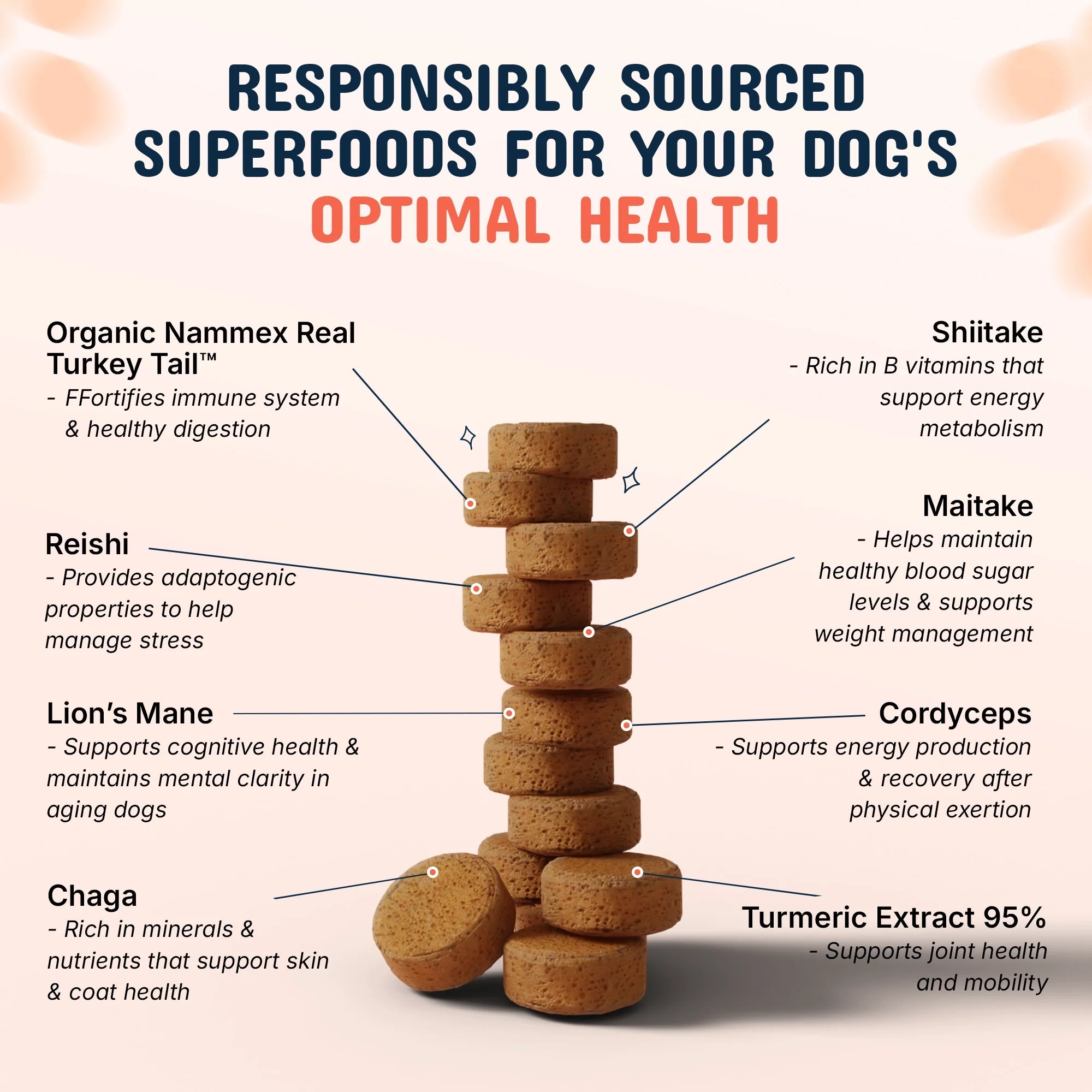 Good Doggo Recovery Bundle