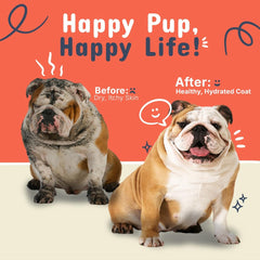 Premium Pet Oatmeal Shampoo
